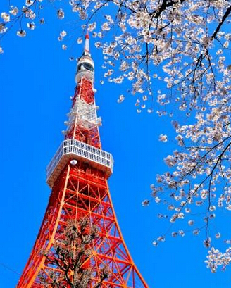 �|��������o�ϵK���؄eչ���_�M�и��޹���